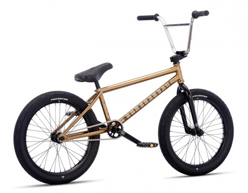 Wethepeople 2017 ENVY Gold Nickel